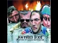 Hayseed Dixie   I Got Erection