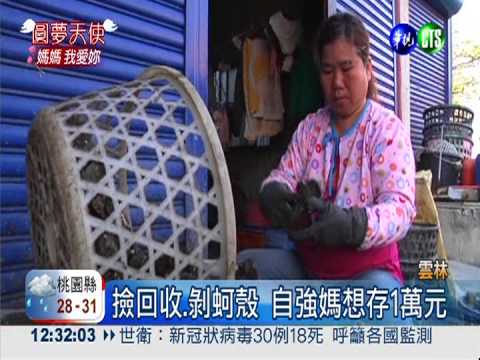 自強媽剝蚵撐全家 最想換冰箱!