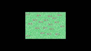 ALBUM ONDA VASELINA ENTREGA TOTAL