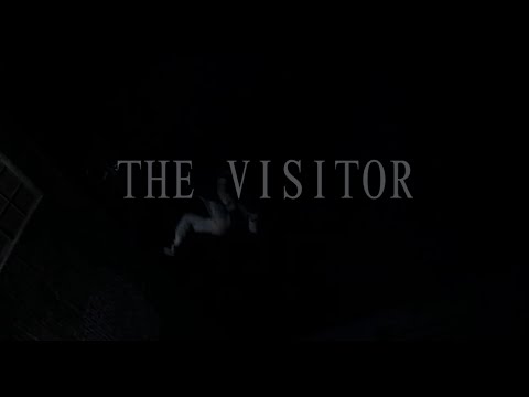 Mart Avi - The Visitor
