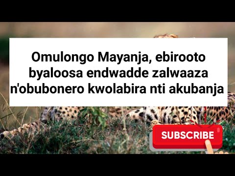 Ebikwaata ku mulongo Mayanja ebirooto byaloosa, endwadde zalwaaza n'obubonero kwolabira nti akubanja