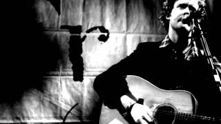 the frames - locusts