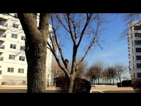 Marina Pointe Condos - Quincy, MA