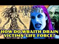 Wraiths From Stargate Atlantis Origins And Anatomy Explored In Detail Stargate