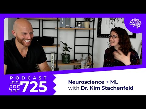 725: Neuroscience + Machine Learning — with Google DeepMind's Dr. Kim Stachenfeld