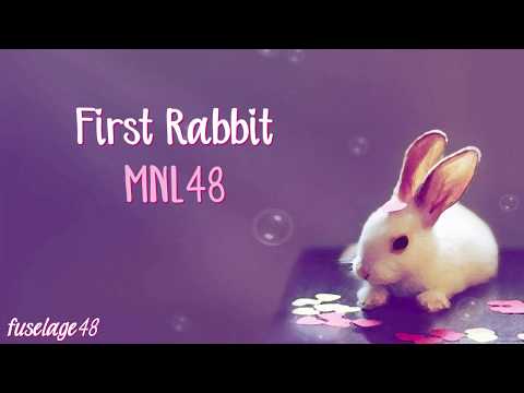 「First Rabbit」/ MNL48 [Lyric Video]