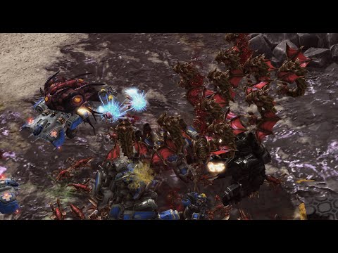 SortOf 🇸🇪 (Z) vs |||||||||||||| ❓ (T) on Tokamok - StarCraft 2 - 2025