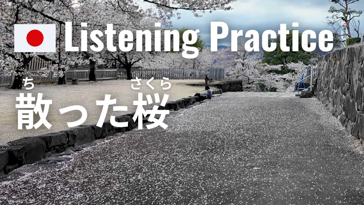 Fallen cherry blossoms at a Japanese Castle | Japanese Listening Practice
