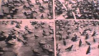 Valeurs-Values-ADDC-Périgueux-2005