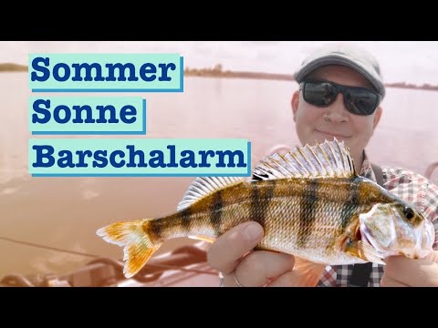 Mission 40+ Perch on the Lake District 🥵