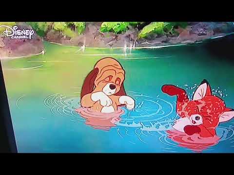 Cap und Capper (Disney 1981) - Schwimmen