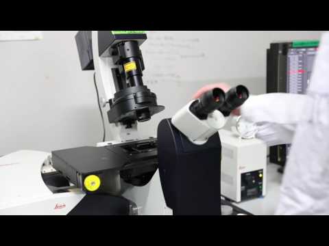 生命科学部 バイオサイエンス学科