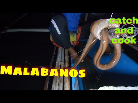 vlog266- Catch and Cook Malabanos Part 1