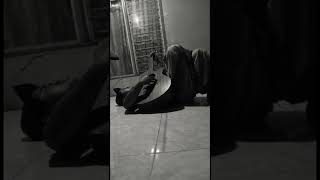 Download lagu ibu iwan fals status wa virall mp3