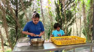 Download lagu LAPTOP SI UNYIL | AGROWISATA ALA KIDS (27/06/19) PART 3 mp3 Download lagu LAPTOP SI UNYIL | AGROWISATA ALA KIDS (27/06/19) PART 3 mp3