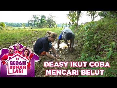 Deasy Ikut Mencari Belut Bersama Pak Rakim - Bedah Rumah Lagi