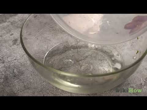 How to Use a Salad Spinner