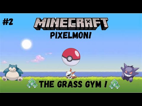 CAN WE BEAT THE GRASS GYM? - Minecraft Pixelmon #2