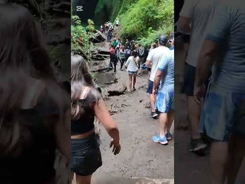 Tour cascada Mili Mili, Coñaripe, comuna Panguipulli y región de los Ríos 