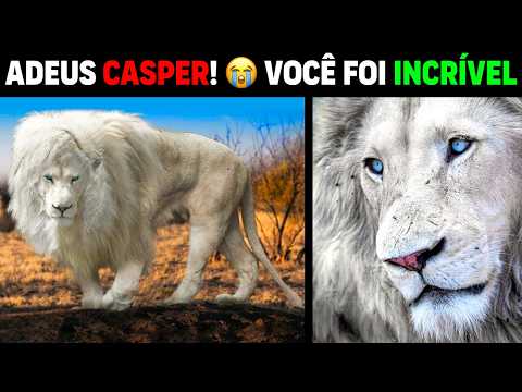 Leo - GOODBYE CASPER KRUGER'S WHITE GHOST