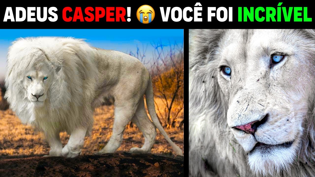 Leo - GOODBYE CASPER KRUGER'S WHITE GHOST