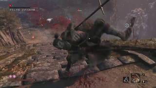 SEKIRO　４ヶ月ぶり、funsdog帰還