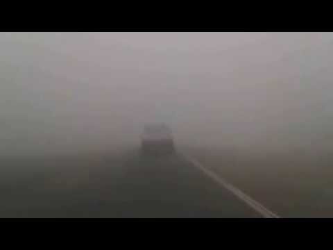 Mist on the Bethal road