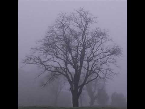 [Extratone - Supertone] [Silent Hill] Broken promise