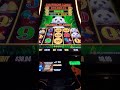 2000 Panda Is Ready For Major When 20241012 192815