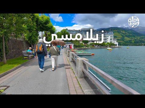 الفيديو