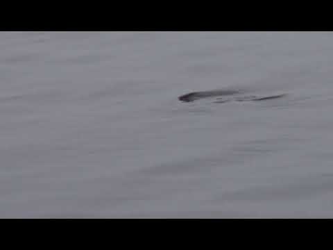 Järven pinnan alla kallio.