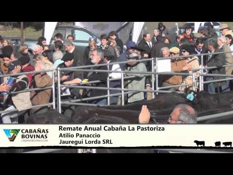 Cabañasbovinas.com - Remate 2014 Cabaña La Pastoriza - Sr- Atilio Panaccio
