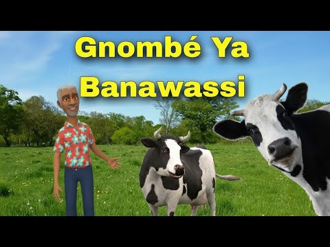 Gnombé Ya Banawassi | Banawassi Na M'colo simba