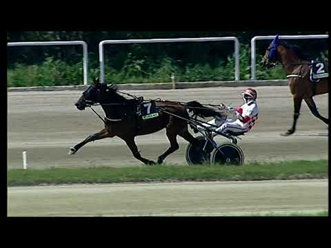 Napoli Trotto 28/03/2021 - 1ª corsa