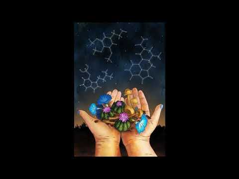 Jamie Jones & David Berrie - Doctor Zouk