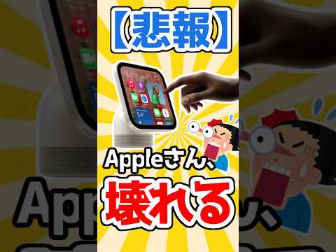 【悲報】Appleさん、ガチで意味不明なものを発売してしまうｗｗｗｗ【Apple HomeView】