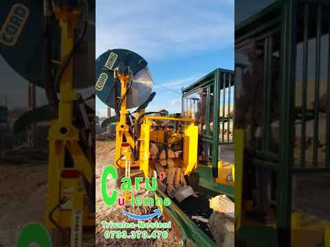 Depozitul Caru Cu Lemne din Trivalea Mosteni