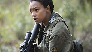 The Walking Dead Recap: The Sun in My Life, It Is Dead