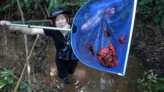 [問卦] 宣傳垃圾小龍蝦的都是些什麼人