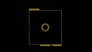 Destroyer - The Bad Arts