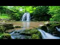 Spirit Of The Waterfall