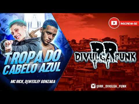 MC RICK E WESLEY GONZAGA - TROPA DO CABELO AZUL [ DJ WESLEY GONZAGA ]