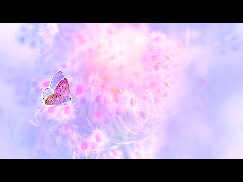 Detox Your Soul | 432Hz Healing Meditation | Self Love Energy | Positive Aura Cleanse