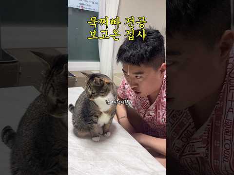 하악질로 유학 다녀온 고양이 집사