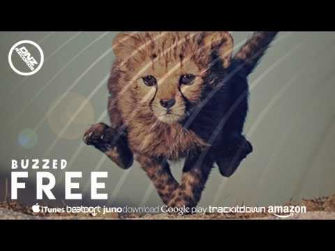 DNZ252 // BUZZED - FREE (Official Video DNZ RECORDS)