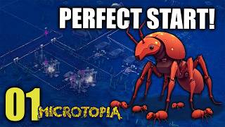 The SECRETS to Building a Thriving Ant Colony in Microtopia | PandAnt Ep 1 | Microtopia