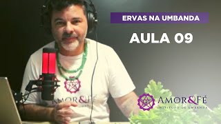 CURSO DE ERVAS NA UMBANDA | AULA 09 - MALVA