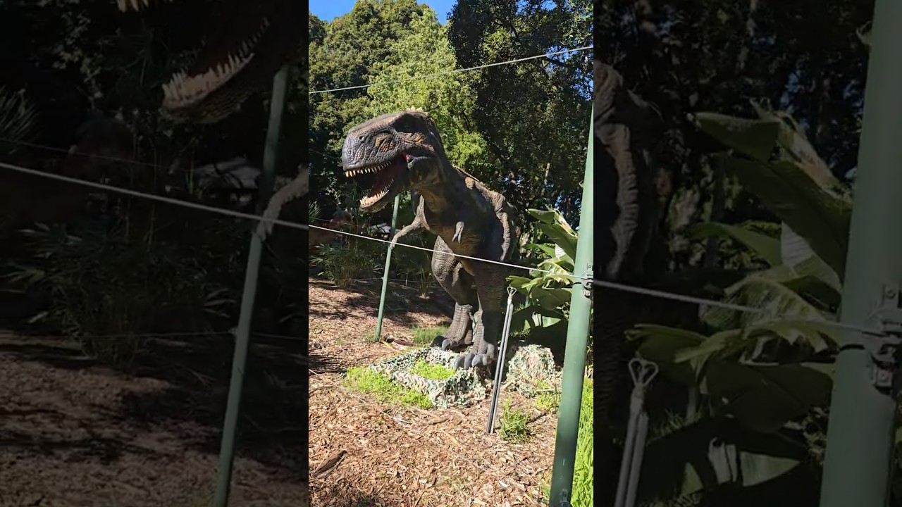 YouTube Short thumbnail