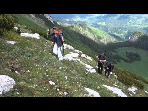 2014 06 19   HAWRAŃ - TATRY (TATRA MOUNTAINS)