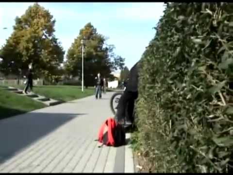 Emerica The Gold Rookie 4 - Daniel Boćko